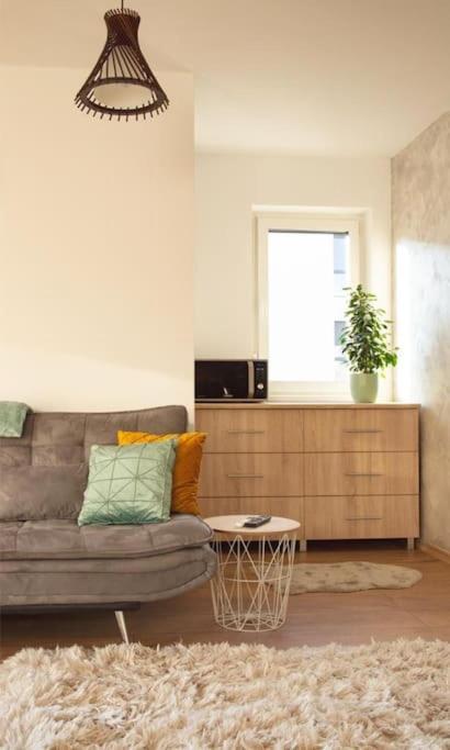 5 Dream Apartment 5 Cu Parcare Privata Орадя Экстерьер фото